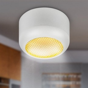 Накладной светильник Эра  OL56 WH в Асбесте - asbest.ok-mebel.com | фото 8