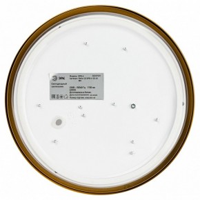 Накладной светильник Эра Relict Relict 22 SPB-6-20 4К MG в Асбесте - asbest.ok-mebel.com | фото 4