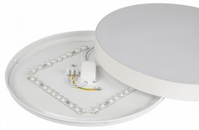 Накладной светильник Эра Relict Relict 38 SPB-6-40 4К WH в Асбесте - asbest.ok-mebel.com | фото 7