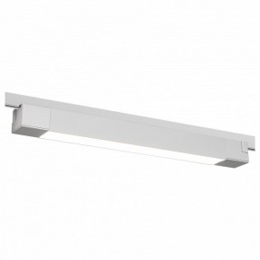 Накладной светильник Эра  TR50 - 2040 WH в Асбесте - asbest.ok-mebel.com | фото