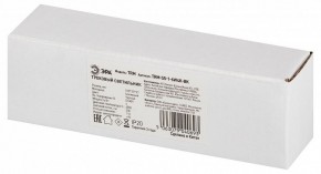 Накладной светильник Эра  TRM-S5-1-6W4K-BK в Асбесте - asbest.ok-mebel.com | фото 6