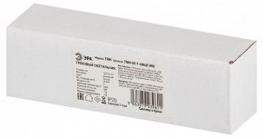Накладной светильник Эра  TRM-S5-1-6W4K-WH в Асбесте - asbest.ok-mebel.com | фото 6