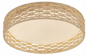Накладной светильник F-promo Conrad 4749-4C в Асбесте - asbest.ok-mebel.com | фото 2