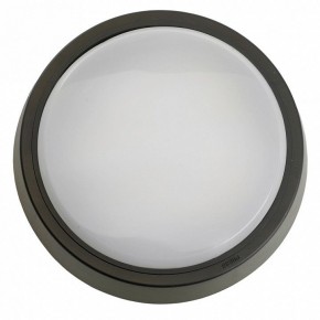Накладной светильник Feron AL3020 51474 в Асбесте - asbest.ok-mebel.com | фото 4