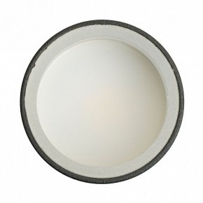 Накладной светильник Feron ML100 51369 в Асбесте - asbest.ok-mebel.com | фото 8