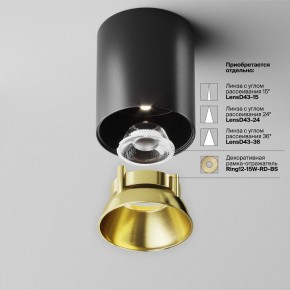 Накладной светильник Maytoni Alfa LED C064CL-12W4K-RD-B в Асбесте - asbest.ok-mebel.com | фото 3