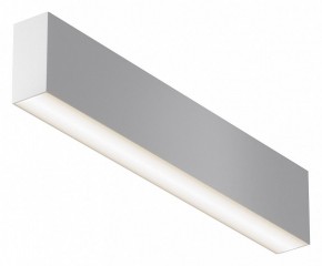 Накладной светильник Maytoni Basis C068CL-20W3-6K-W в Асбесте - asbest.ok-mebel.com | фото