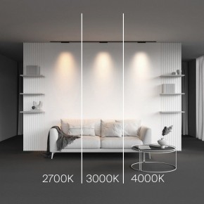 Накладной светильник Maytoni Points TR193-1-10W2.7K-M-B в Асбесте - asbest.ok-mebel.com | фото 2