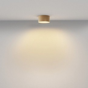 Накладной светильник Maytoni Zon C032CL-12W2.7K-RD-MG в Асбесте - asbest.ok-mebel.com | фото 4