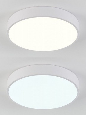 Накладной светильник Natali Kovaltseva  LED LAMPS 81111/5C в Асбесте - asbest.ok-mebel.com | фото 4