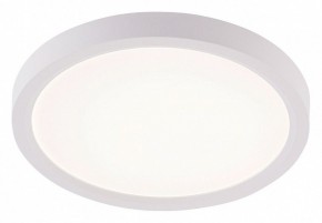 Накладной светильник Natali Kovaltseva PLAIN LED LAMPS 81113/1C в Асбесте - asbest.ok-mebel.com | фото