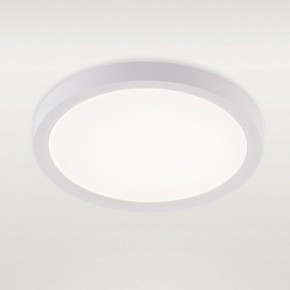 Накладной светильник Natali Kovaltseva PLAIN LED LAMPS 81113/1C в Асбесте - asbest.ok-mebel.com | фото 2