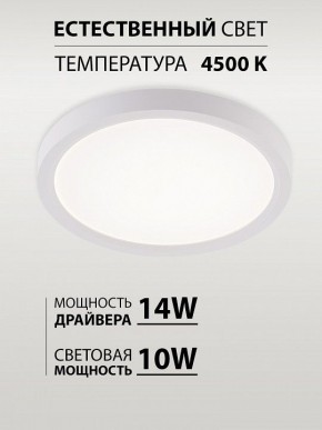 Накладной светильник Natali Kovaltseva PLAIN LED LAMPS 81113/1C в Асбесте - asbest.ok-mebel.com | фото 4