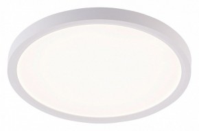 Накладной светильник Natali Kovaltseva PLAIN LED LAMPS 81113/2C в Асбесте - asbest.ok-mebel.com | фото