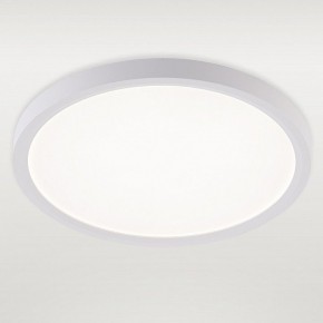 Накладной светильник Natali Kovaltseva PLAIN LED LAMPS 81113/2C в Асбесте - asbest.ok-mebel.com | фото 2