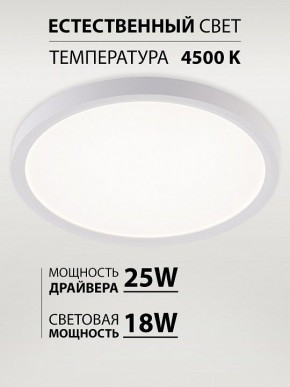 Накладной светильник Natali Kovaltseva PLAIN LED LAMPS 81113/2C в Асбесте - asbest.ok-mebel.com | фото 3
