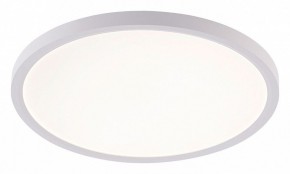 Накладной светильник Natali Kovaltseva PLAIN LED LAMPS 81113/3C в Асбесте - asbest.ok-mebel.com | фото
