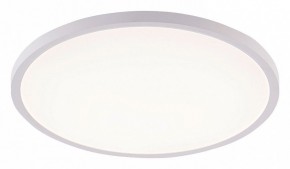 Накладной светильник Natali Kovaltseva PLAIN LED LAMPS 81113/4C в Асбесте - asbest.ok-mebel.com | фото