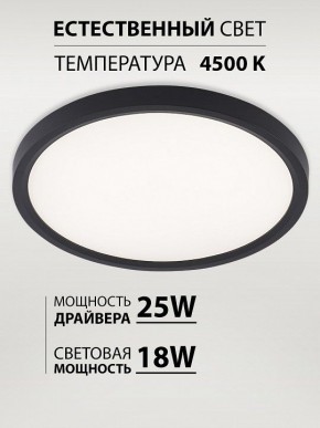 Накладной светильник Natali Kovaltseva PLAIN LED LAMPS 81114/2C в Асбесте - asbest.ok-mebel.com | фото 3