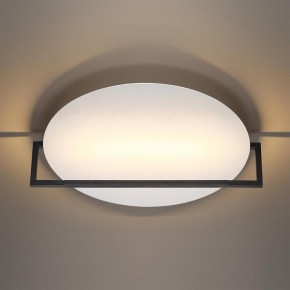 Накладной светильник Odeon Light Next 7015/20WL в Асбесте - asbest.ok-mebel.com | фото 2
