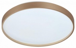 Накладной светильник Sonex Gaby 7783/DL в Асбесте - asbest.ok-mebel.com | фото 4
