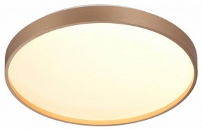 Накладной светильник Sonex Gaby 7783/DL в Асбесте - asbest.ok-mebel.com | фото 5