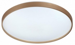 Накладной светильник Sonex Gaby 7783/EL в Асбесте - asbest.ok-mebel.com | фото 4