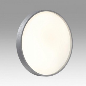 Накладной светильник Sonex Gaby 7784/CL в Асбесте - asbest.ok-mebel.com | фото 2