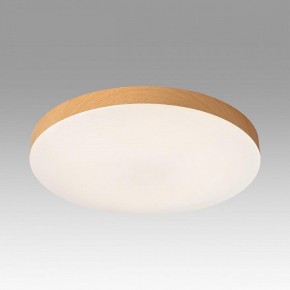 Накладной светильник Sonex Gamma 7761/24L в Асбесте - asbest.ok-mebel.com | фото 3