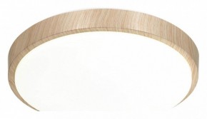 Накладной светильник Sonex Losta 7607/CL в Асбесте - asbest.ok-mebel.com | фото 4