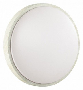Накладной светильник Sonex Losta 7628/DL в Асбесте - asbest.ok-mebel.com | фото 6