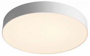 Накладной светильник Sonex Optima 7779/EL в Асбесте - asbest.ok-mebel.com | фото 3
