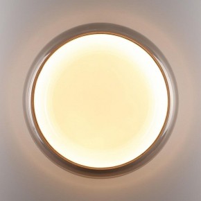 Накладной светильник Sonex PORTMAN 7777/DLN в Асбесте - asbest.ok-mebel.com | фото 6