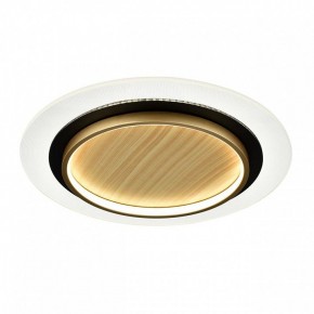 Накладной светильник Sonex Sunny 7731/80L в Асбесте - asbest.ok-mebel.com | фото 4