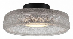 Накладной светильник ST-Luce ANTIKE SL6143.402.01 в Асбесте - asbest.ok-mebel.com | фото 2