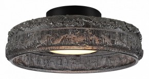 Накладной светильник ST-Luce ANTIKE SL6143.412.01 в Асбесте - asbest.ok-mebel.com | фото 2