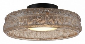 Накладной светильник ST-Luce ANTIKE SL6143.422.01 в Асбесте - asbest.ok-mebel.com | фото 3