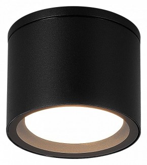 Накладной светильник ST-Luce Tubo SL9006.402.01 в Асбесте - asbest.ok-mebel.com | фото 2