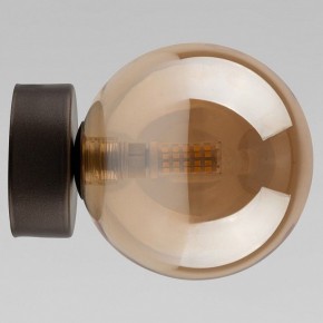 Накладной светильник TK Lighting Estera 10256 Estera в Асбесте - asbest.ok-mebel.com | фото