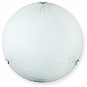 Накладной светильник TopLight Wifa TL9142Y-00WH в Асбесте - asbest.ok-mebel.com | фото