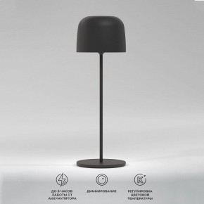 Настольная лампа декоративная Elektrostandard Bitty a069002 в Асбесте - asbest.ok-mebel.com | фото 2