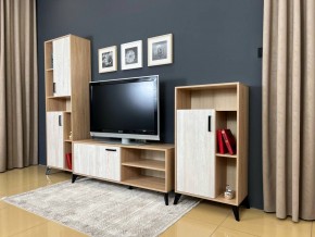 ОСКАР TRIO Гостиная (дуб золотой/сосна белая loft) в Асбесте - asbest.ok-mebel.com | фото 3