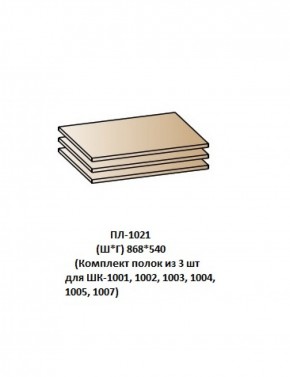 ПЛ-1021 (Комплект полок из 3 шт для ШК-1001, 1002, 1003, 1004, 1005, 1007) в Асбесте - asbest.ok-mebel.com | фото