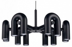Подвесная люстра Divinare Twins 1092/06 PL-30 в Асбесте - asbest.ok-mebel.com | фото 2