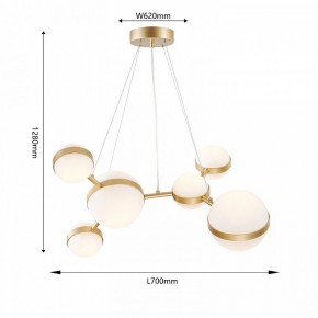 Подвесная люстра Favourite Asterismo 4448-6P в Асбесте - asbest.ok-mebel.com | фото 5