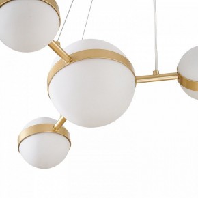 Подвесная люстра Favourite Asterismo 4448-6P в Асбесте - asbest.ok-mebel.com | фото 7