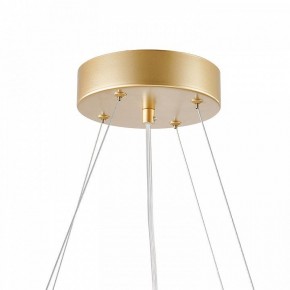 Подвесная люстра Favourite Asterismo 4448-6P в Асбесте - asbest.ok-mebel.com | фото 9