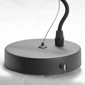 Подвесная люстра Lussole Huron LSP-8156 в Асбесте - asbest.ok-mebel.com | фото 7