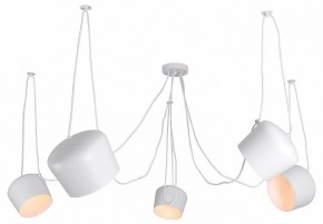 Подвесная люстра Lussole Shirley LSP-8175 в Асбесте - asbest.ok-mebel.com | фото