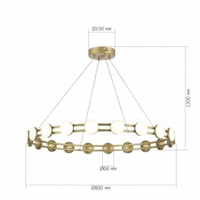Подвесная люстра ST-Luce MONRO SL6610.203.20 в Асбесте - asbest.ok-mebel.com | фото 5